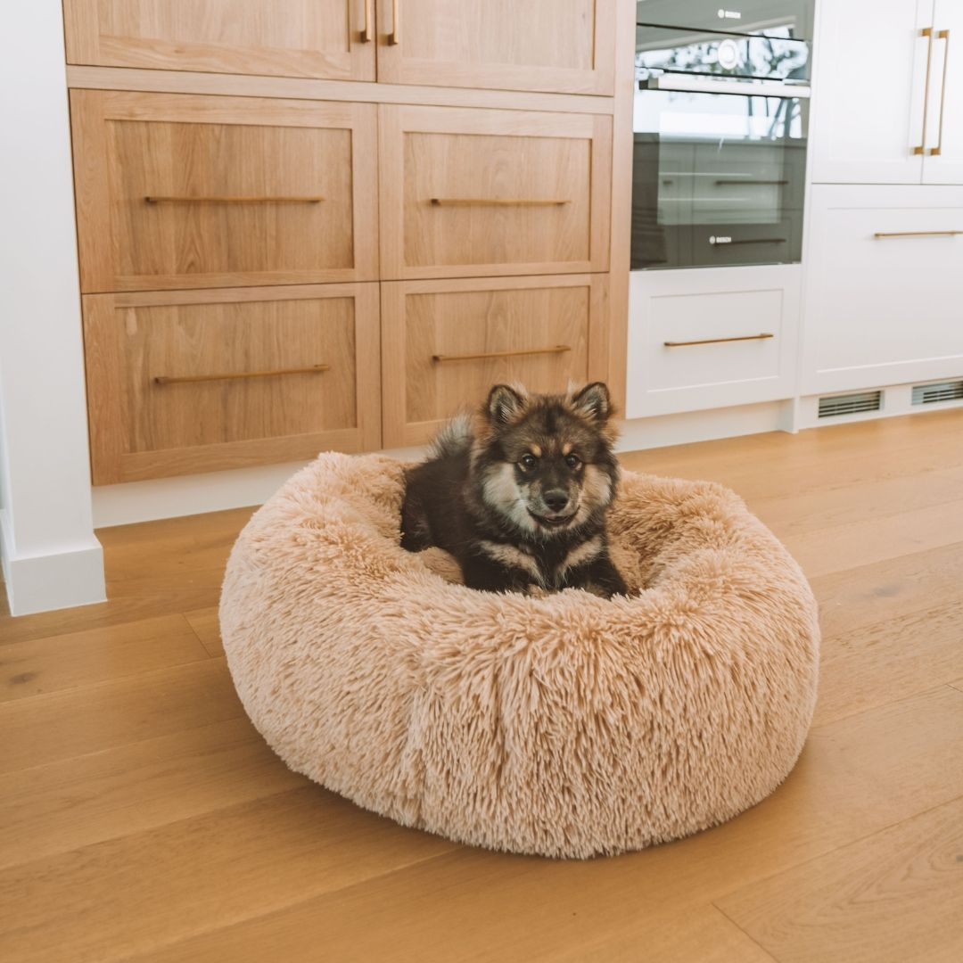 Michael | Dog Bed Extra Soft