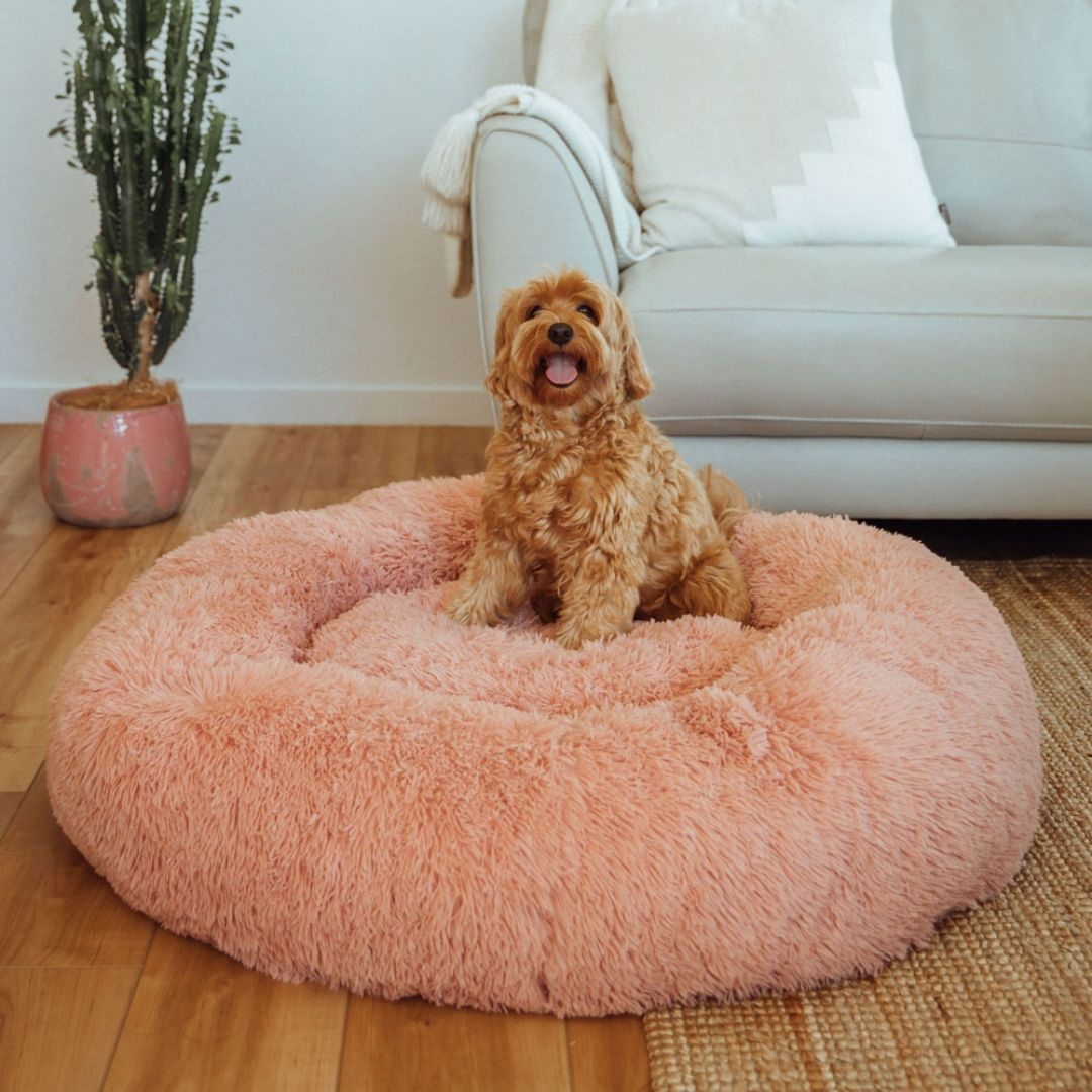 Michael | Dog Bed Extra Soft