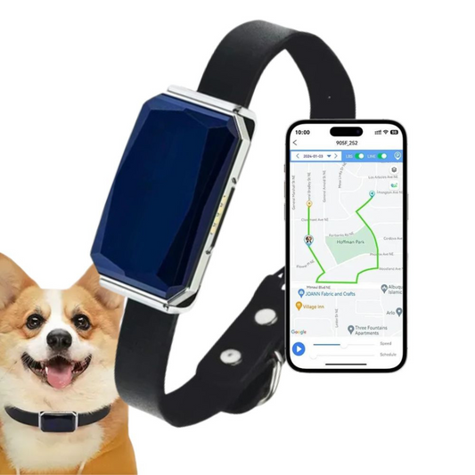 Thomas | Gps Collar For Pets | Tracking