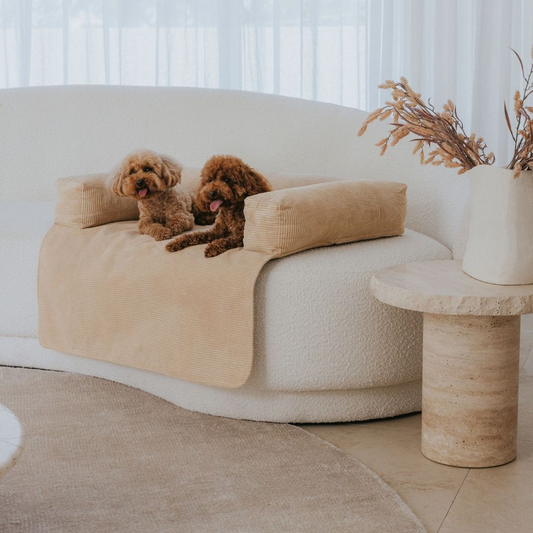 Zayne | Couch Bed For Dogs