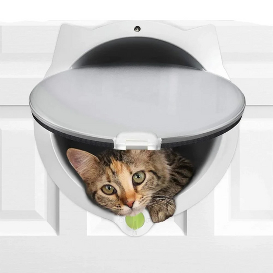 Leon | 4-Way Locking Cat Flap Door | Auto Close