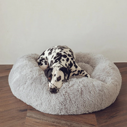 Michael | Dog Bed Extra Soft