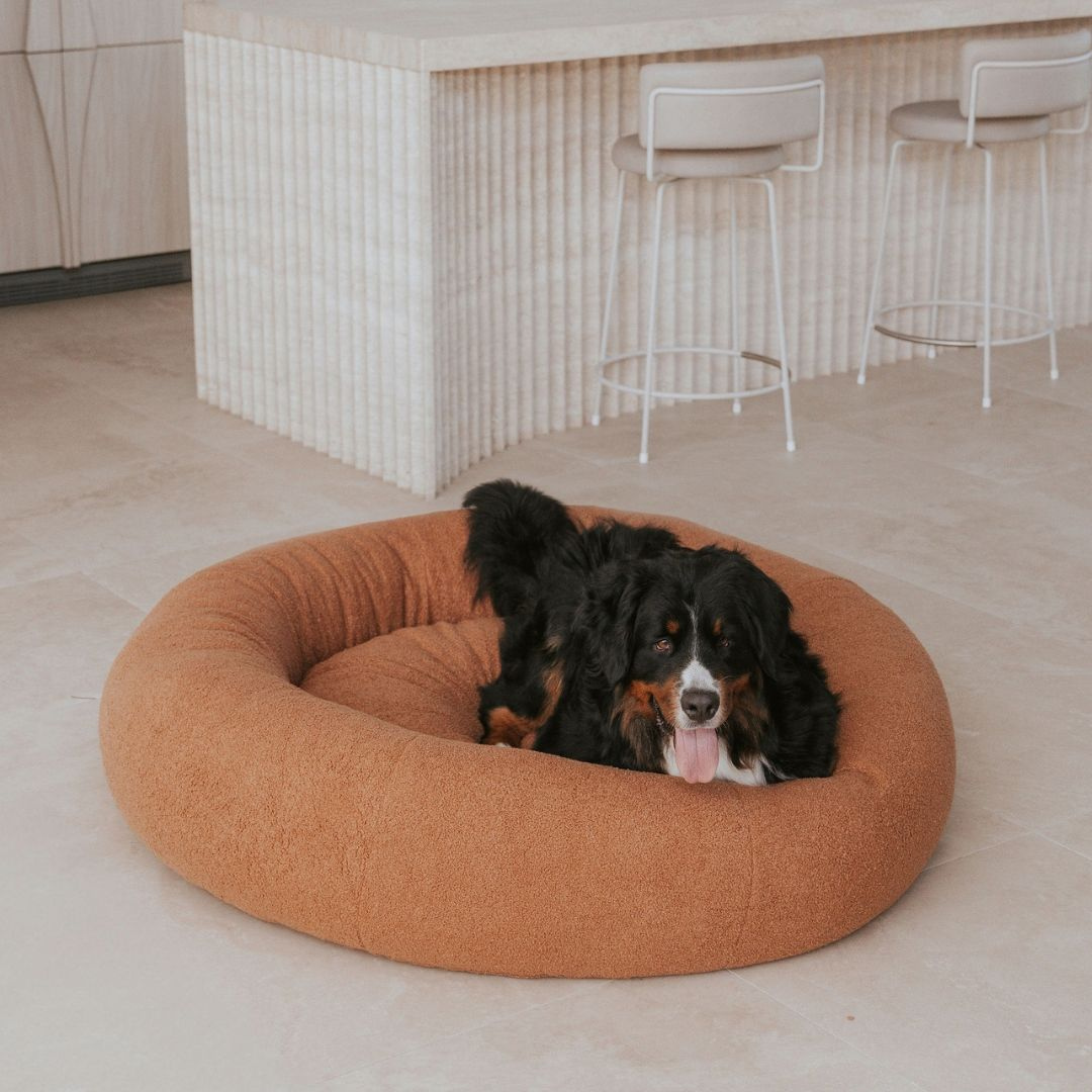 Elias | Soft Dog Bed