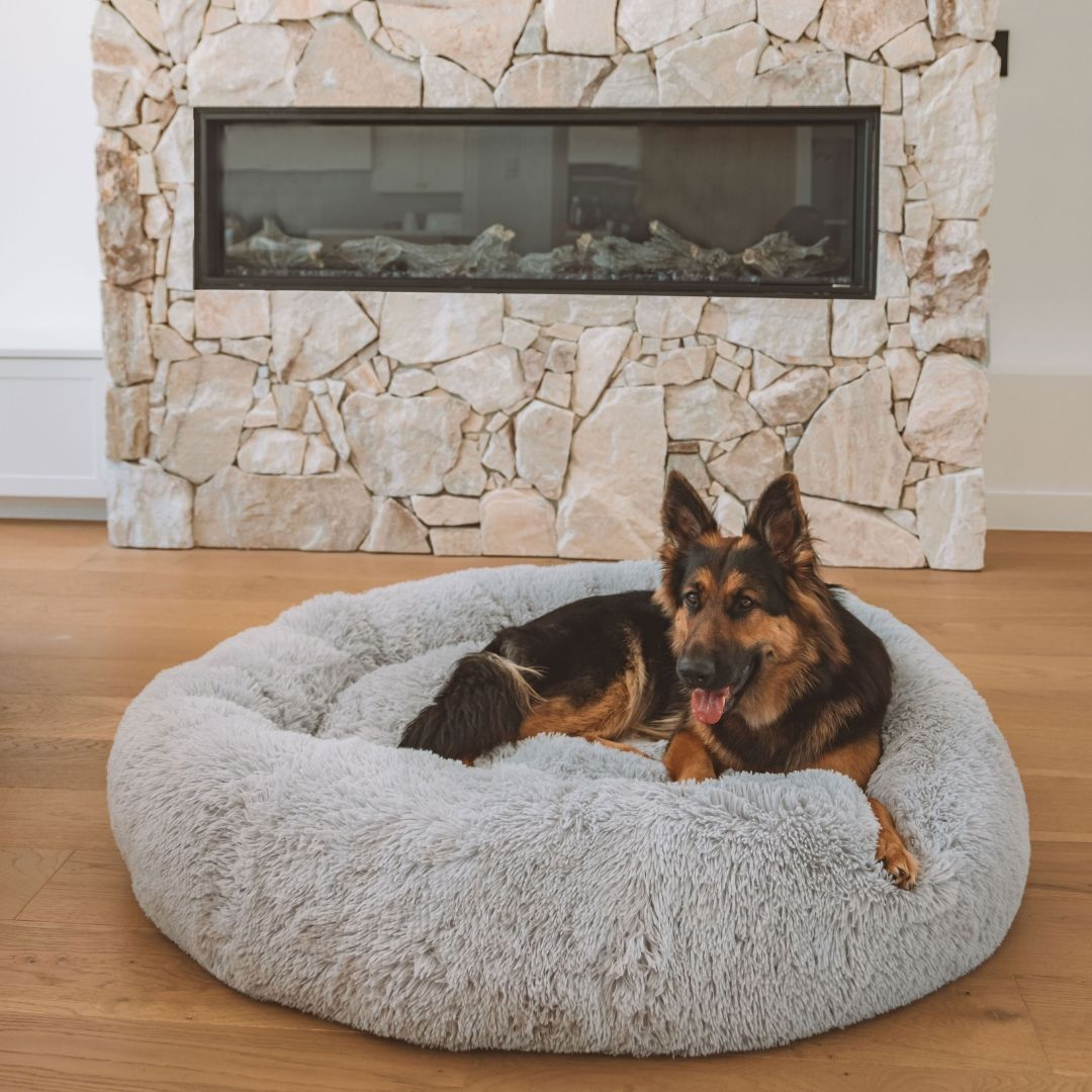 Michael | Dog Bed Extra Soft