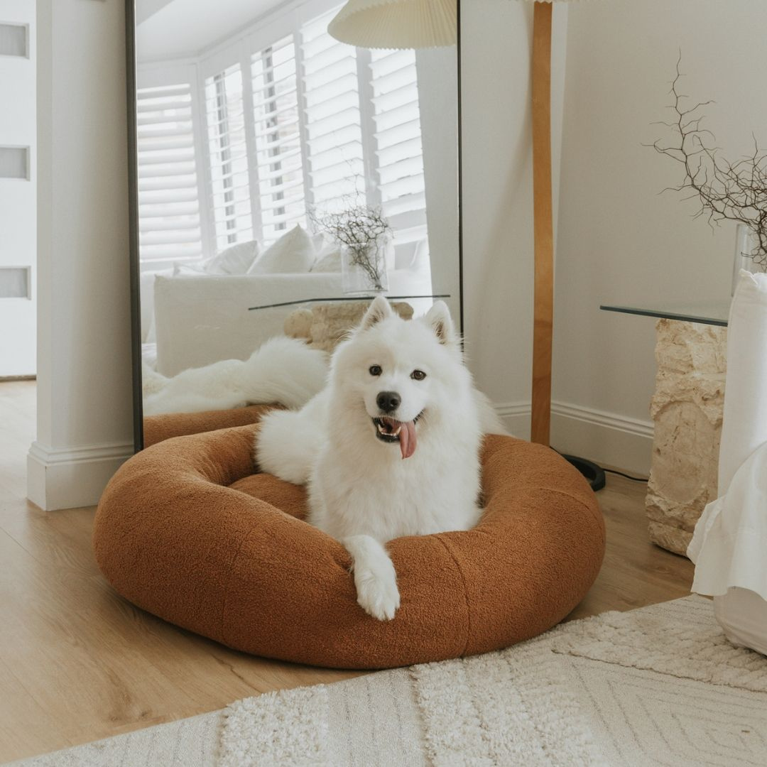 Elias | Soft Dog Bed