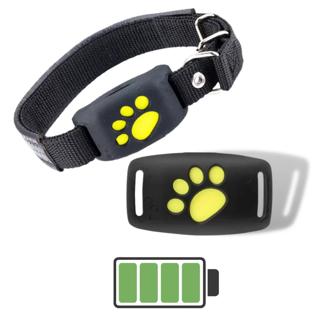 Jack | Dog GPS Tracker Collar