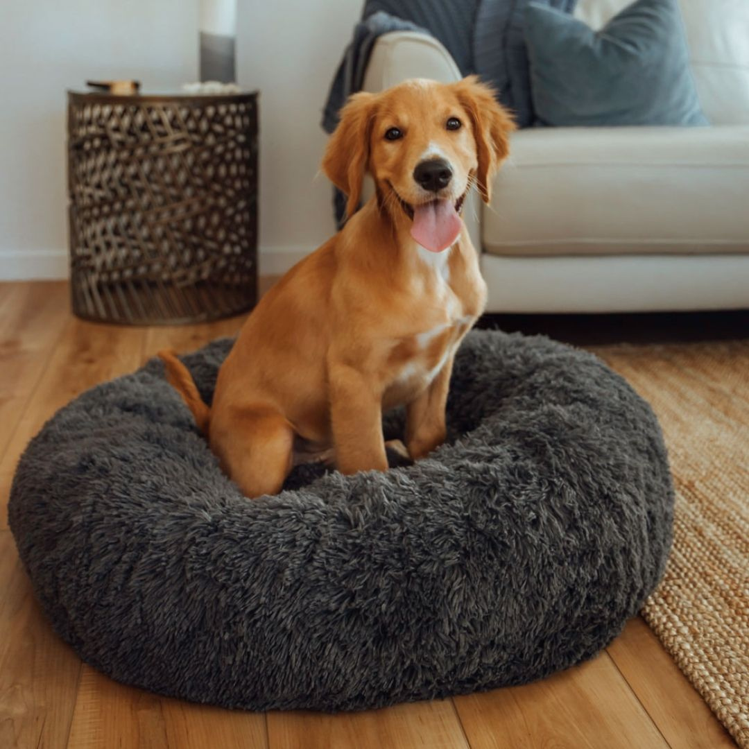 Michael | Dog Bed Extra Soft