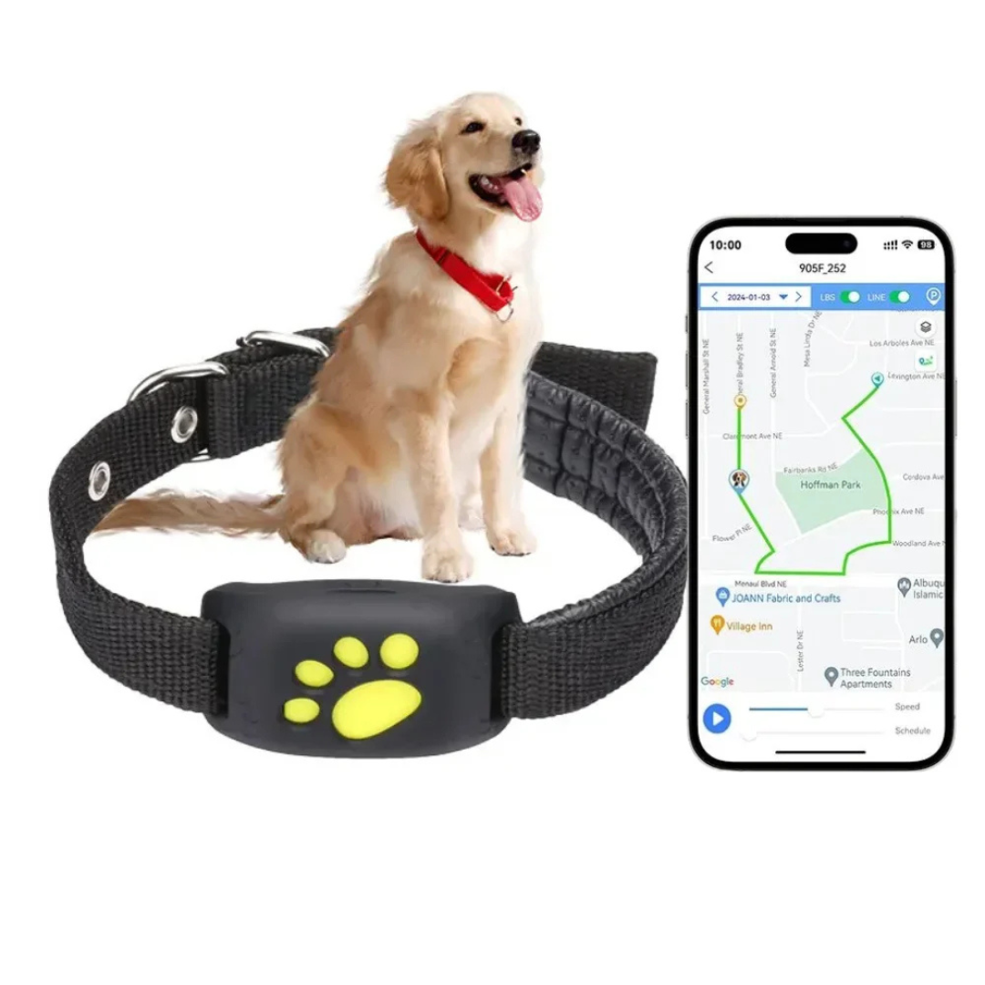 Jack | Dog GPS Tracker Collar